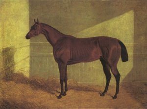 Matilda Winner St Leger 1834