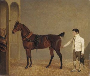 A carriage horse and groom in a stable