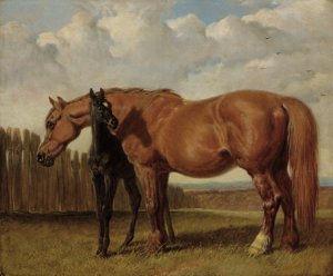 A chestnut mare with her foal in a paddock