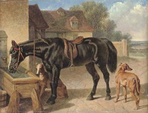 A farmer's hack and greyhounds