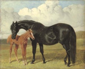 A mare and foal in a landscape