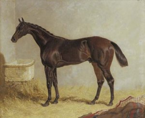 Birmingham, winner of the 1830 St. Leger Stakes, in a stable